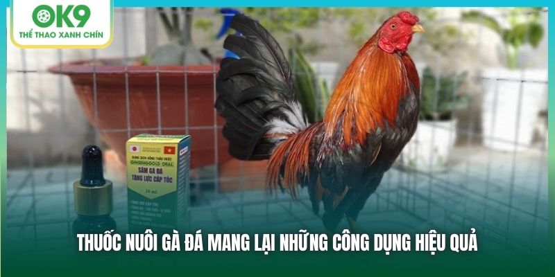 Thuốc nuôi gà đá mang lại những công dụng hiệu quả