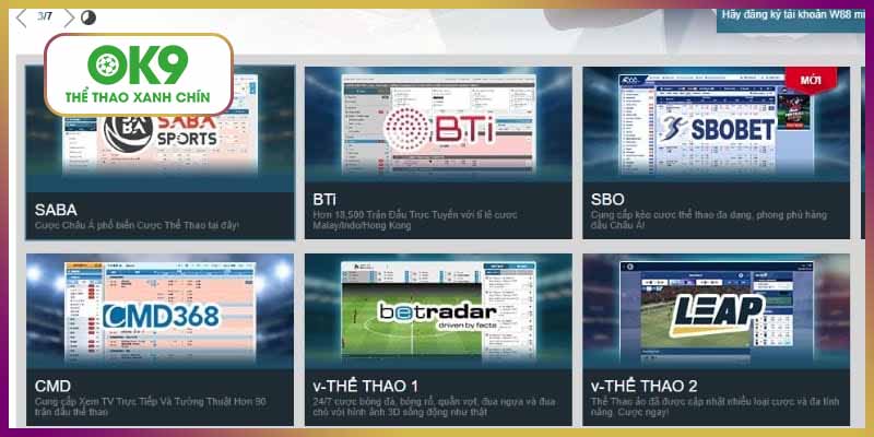 Giới thiệu khái quát dịch vụ cá cược bóng đá trên W88